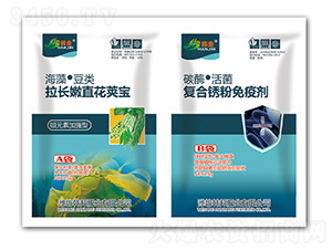 ���L(zh��ng)��ֱ���v��+��(f��)���P�����߄�-�n��-�n��ʘI(y��)