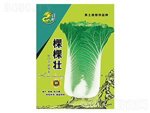 �ײ˷N��-�ÿÉ�-����