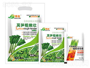 �n�S���ۉ�-�n��-�n��ʘI(y��)