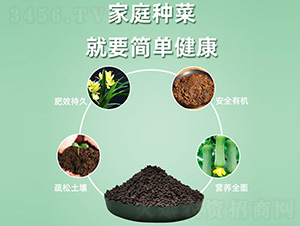 �F��΢�����-�����ʘI(y��)