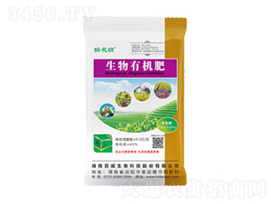 ��ĩ�������ЙC(j��)��-�����a-��������