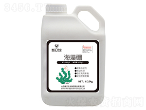 ������-Ψ��