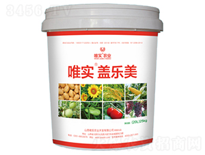 Ψ��(sh��)���w����