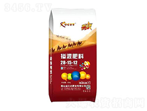 �������28-15-12-�옷����-���|�_(d��)�ʘI(y��)