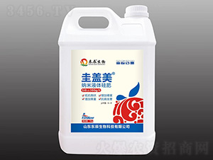 �{��Һ�w���-���w��-�|������ 