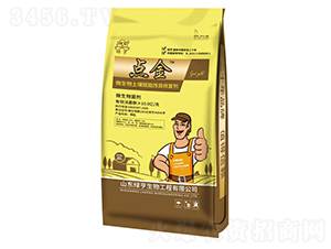 ΢���������x�ܸ����ޏ�(f��)��-�c��-�G��