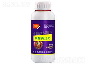 ��ñ���ִ�-���Q