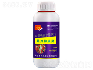 ��Ƭ��չ�`-���Q