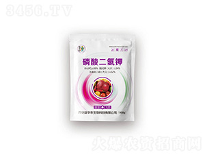 ��������-���A����