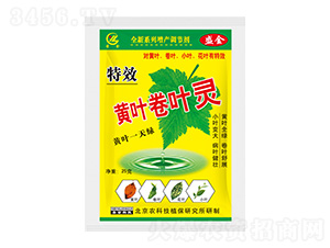 �S�~���~�`-ʢ��-ʥ��ʘI(y��)