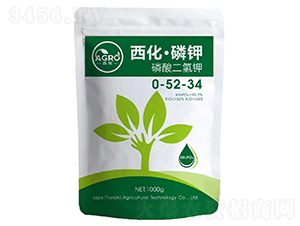 ��������⛣��������⛣�-��(l��)����