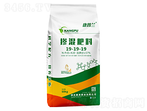 �������19-19-19-�����m-���շʘI(y��)