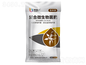 �ͺ�΢�������-�G����