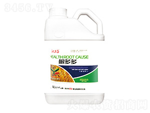 �����-�ߖ|��-ʥ��ʘI(y��)