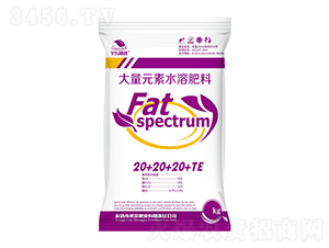 ����Ԫ��ˮ�ܷ���20-20-20+TE-��|ֲ��-ʥ��ʘI(y��)