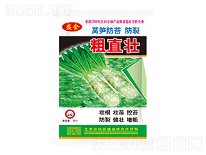 �n�S��̦���Ѵ�ֱ��-ʢ��-ʥ��ʘI(y��)