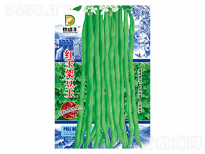 �t��ܶ���-��ʢ�S