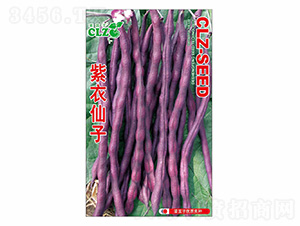 ��������-�˻@��-��ʢ�S