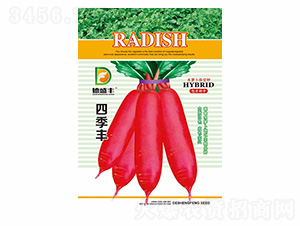 �ļ��S-��ʢ�S