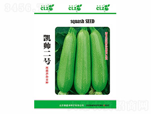 �P����̖(h��o)-��ʢ�S