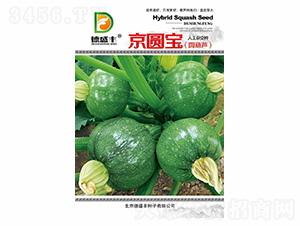 ���A��-��ʢ�S