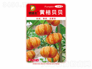 �S��ؐؐ-��ʢ�S