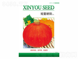 �������-��ʢ�S