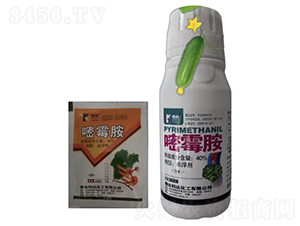 40%��ù���Ҹ���-���r(n��ng)��(gu��)̩