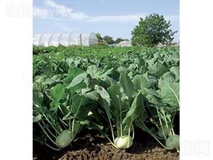 ������32-54��-�}���N��-���r(n��ng)�r(n��ng)�I(y��)