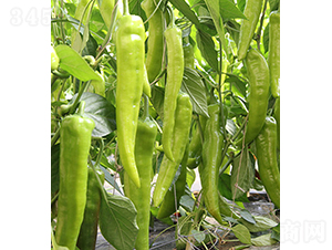 37-74-�����N��-���r�r�I(y��)