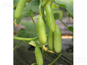 ��ͯ-ˮ���S��-���r(n��ng)�r(n��ng)�I(y��)