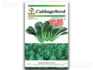 �r��С�ײ˷N��-����ķ