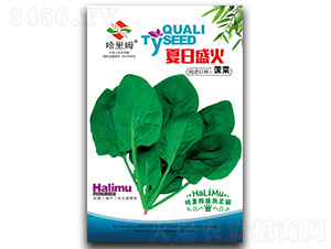 ����ʢ��-���˷N��-����ķ