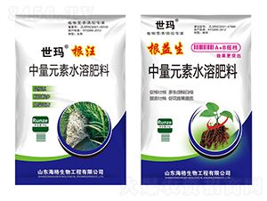 ����+������-����-��������