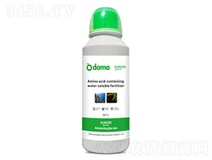 �W�V���Ӻ�-�W����