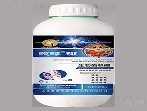 �紼��-�W�׵�˹