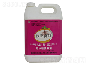 ����s�I�B(y��ng)Һ-������t-ʢ������