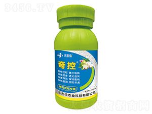 �޻���������-���-�ַ�z