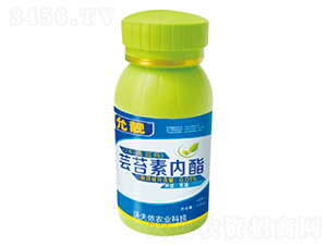 �|̦�؃�(n��i)��-���n-�ַ�z