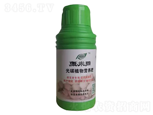 康樂爾根莖類-康樂爾