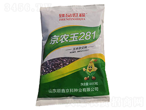 京農玉281玉米雜交種-臻品世稼-農邦樂