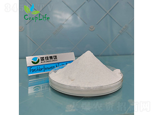 ��������-����˹����