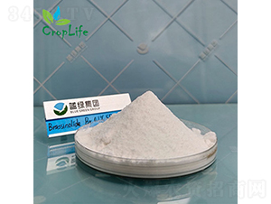 �|̦�؃�(n��i)��-����˹����