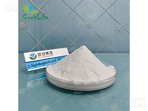 ��-��������-����˹����