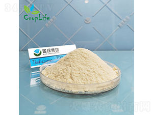 �籽¡-����˹����