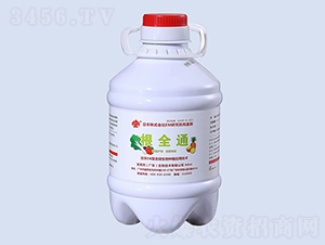 ��ȫͨ-��ЦȻ