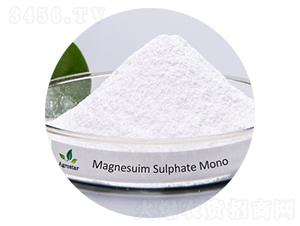 硫酸鎂單粉、粒狀-愛格思達