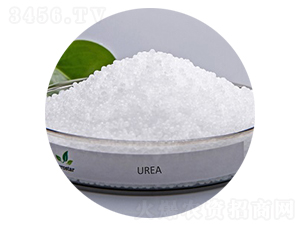 ���أ��w�����w����-�۸�˼�_(d��)