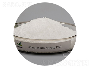 硝酸鎂粉末、顆粒-愛格思達