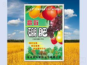 ��Ч���-����